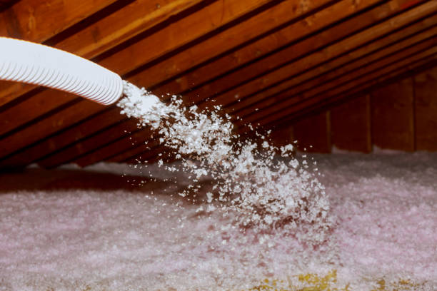 Best DIY Insulation Kits and Guidance in Seymour, IN